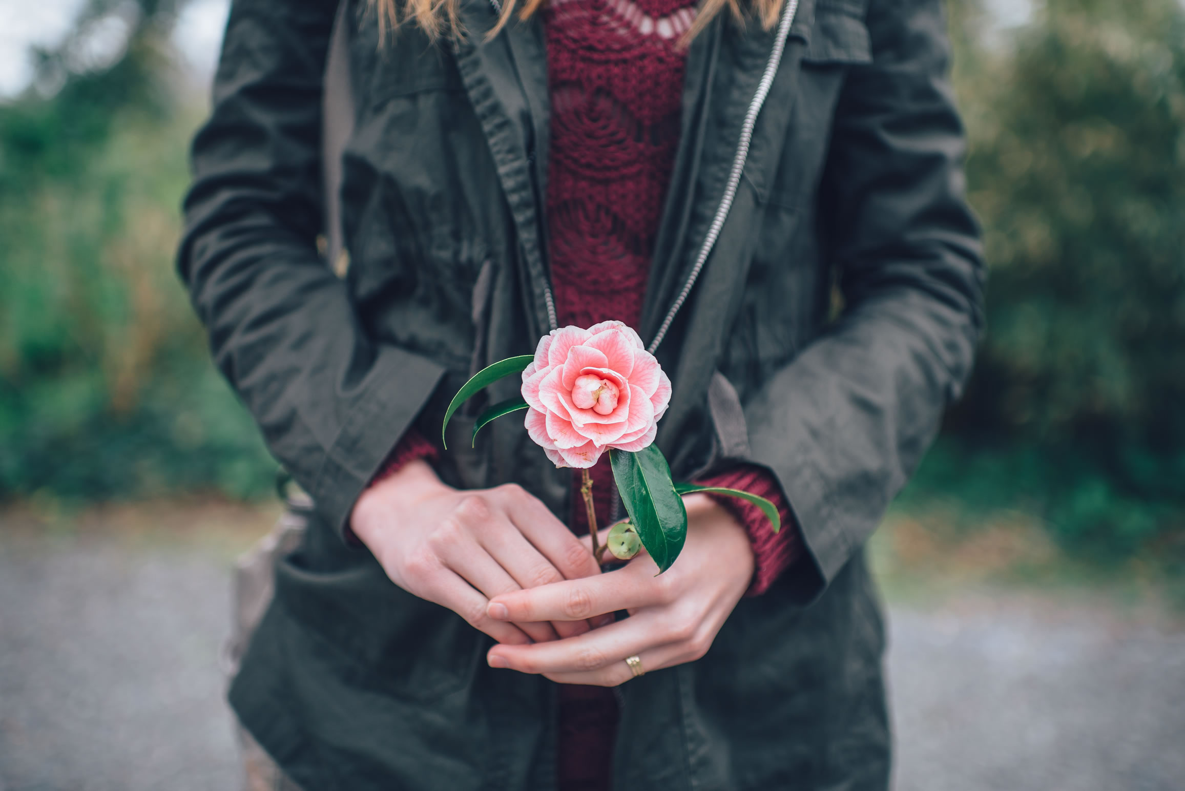 Girl With The Rose Girl With The Rose